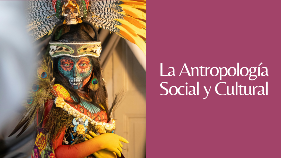 Qué es la antropología social y cultural