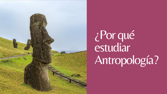 por qué estudiar antropología