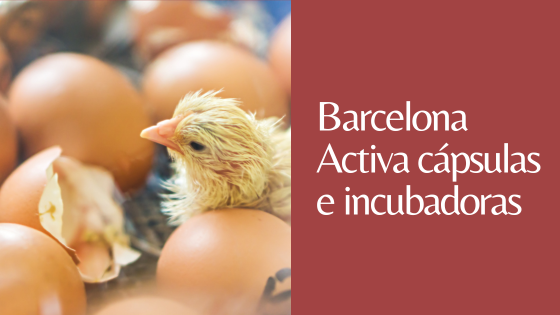 BARCELONA ACTIVA BARCELONA ACTIVA