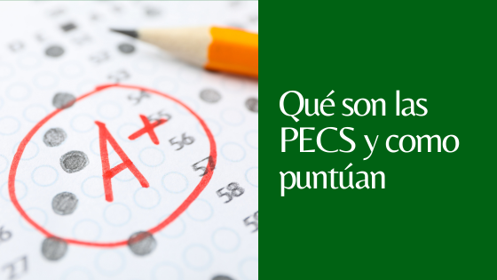 LAS PECS DE LA UNED