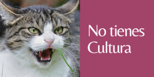 no tienes cultura