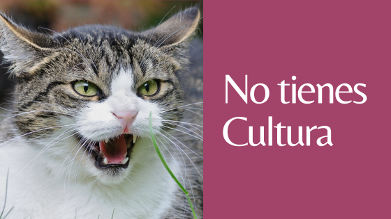 no tienes cultura