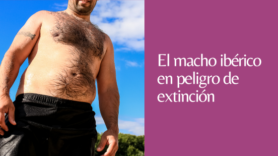 Macho ibérico Macho ibérico