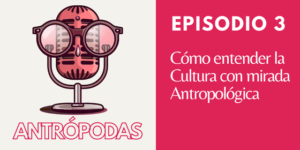 cómo entender la cultura